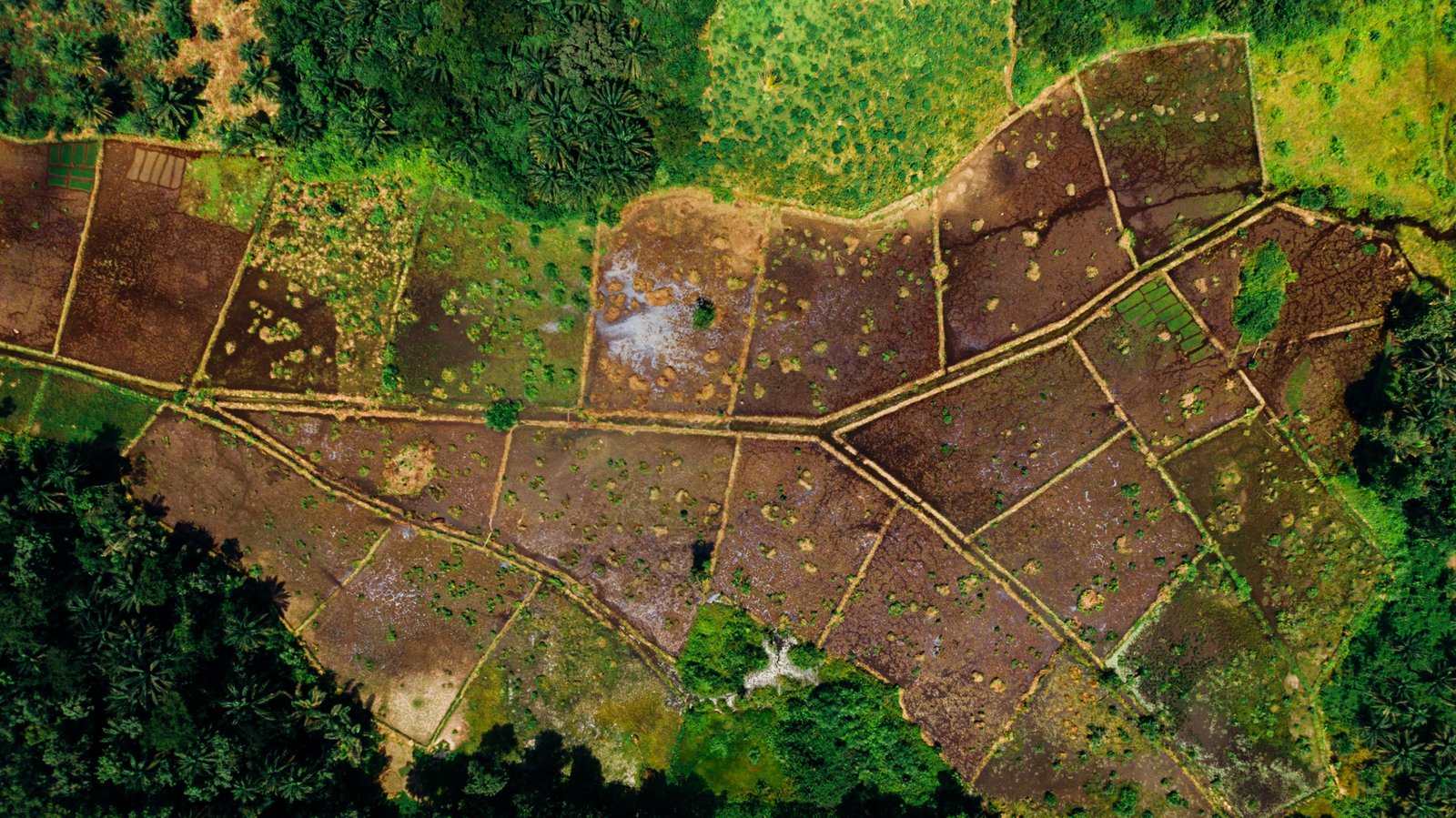 Aerial view of UK farmland
